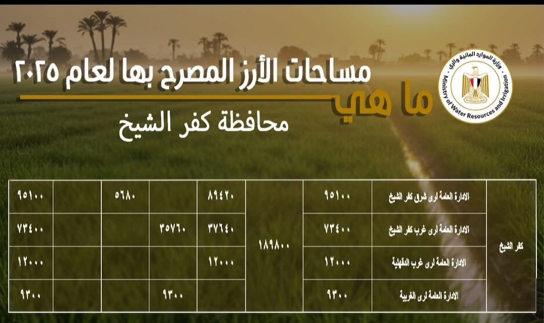 خطة لتوفير المياه لمحصول الأرز بمساحة 189،8 ألف فدان في كفر الشيخ