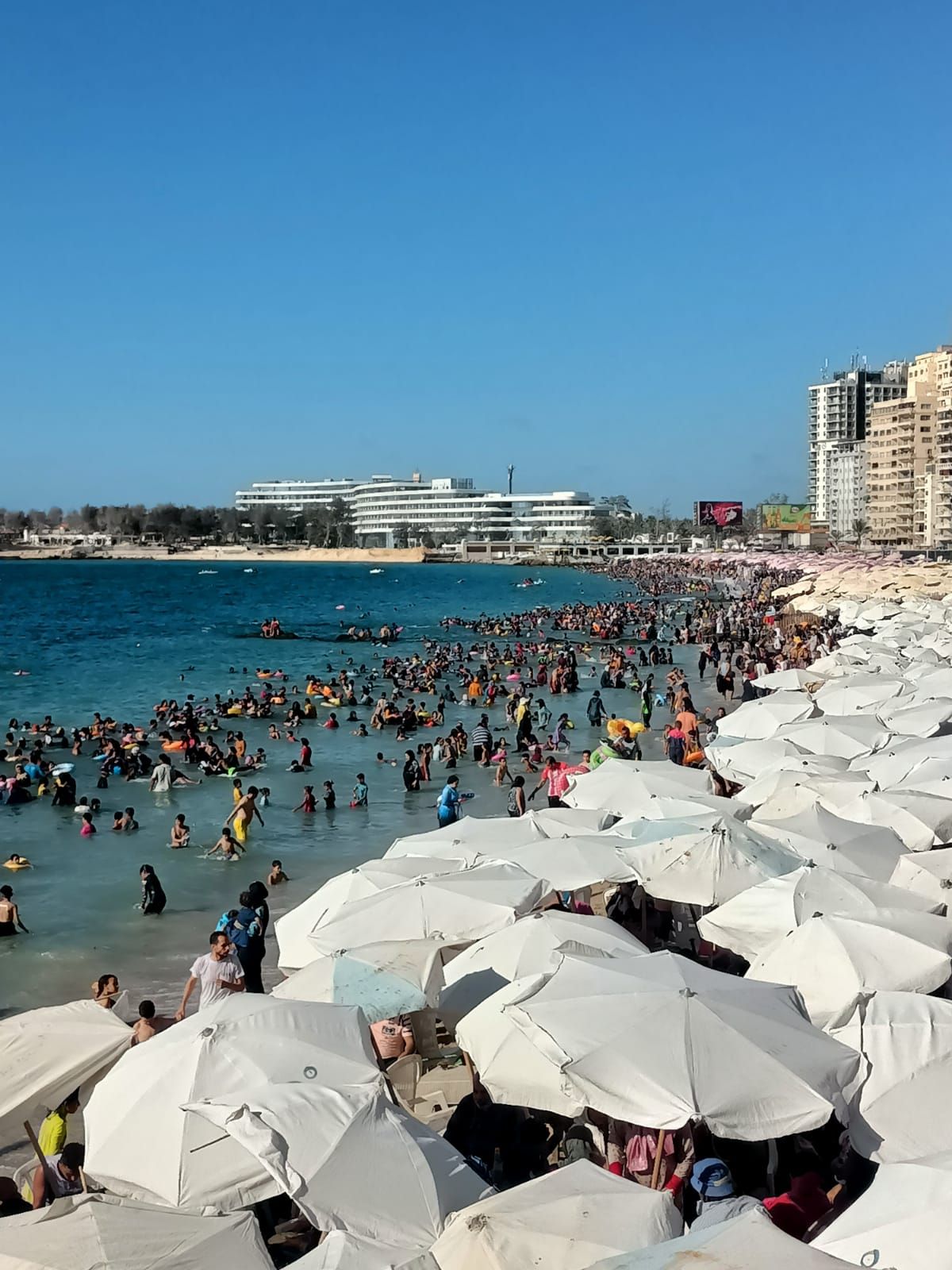 كرسى و ترابيزه و شمسيه ببلاش”.. شواطئ الاسكندريه ترحب بالمصطافين | المحافظات | النهار