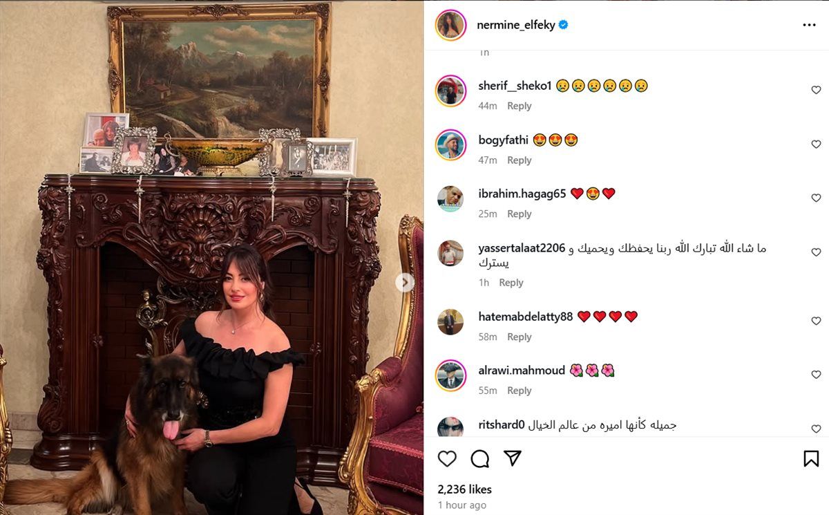 نرمين الفقي