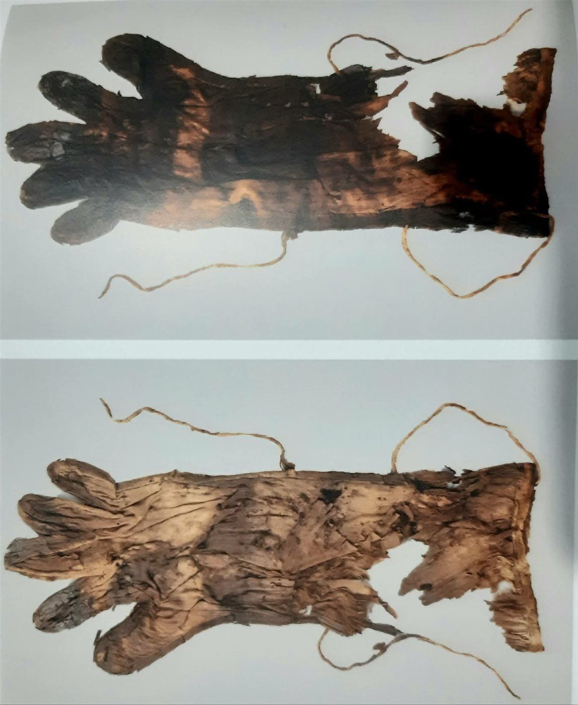 قفازات الملك الذهبي