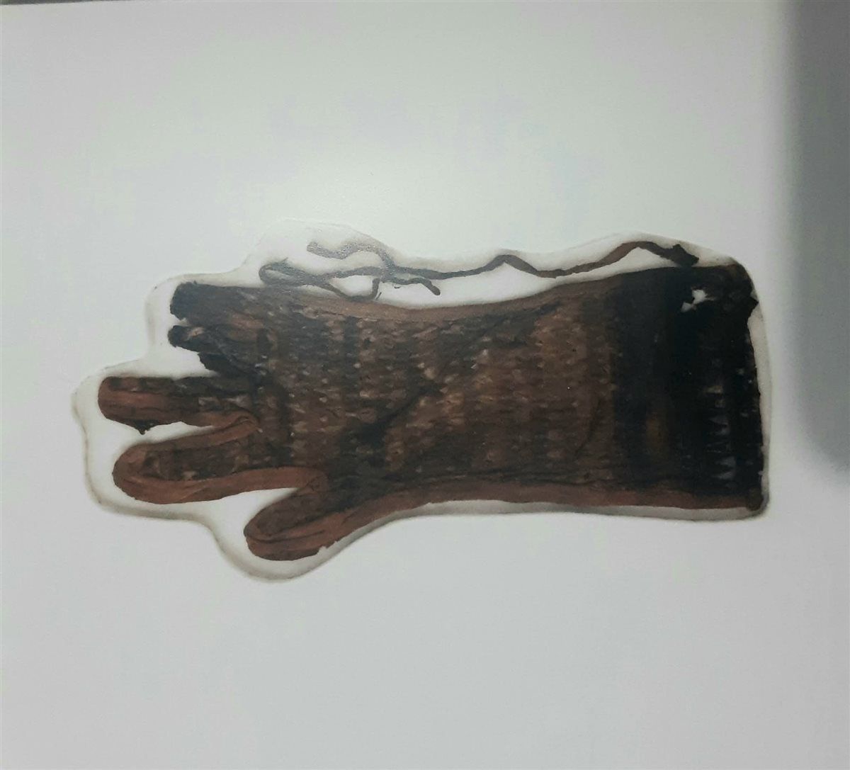 قفازات الملك الذهبي