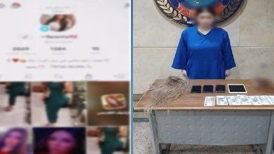 صانعة المحتوي