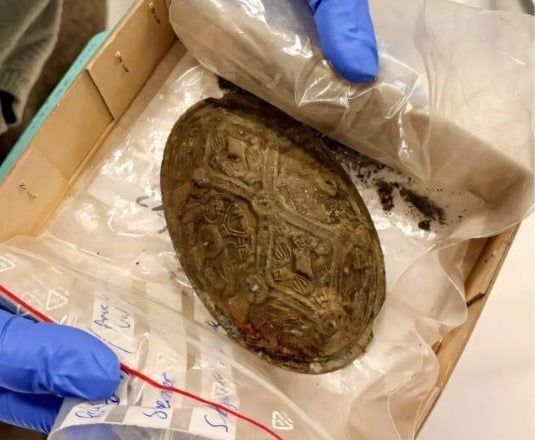 أصداف الإسكالوب أصداف الإسكالوب