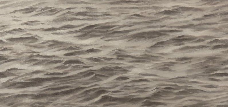 الفنانة فيجا سيلمينز