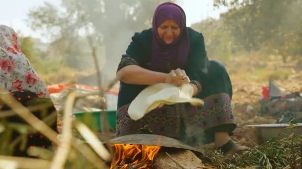 شجرة المهراس