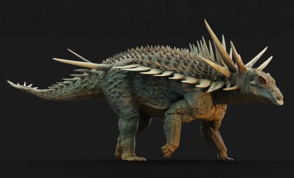 عادة بناء شكل Spicomellus afer