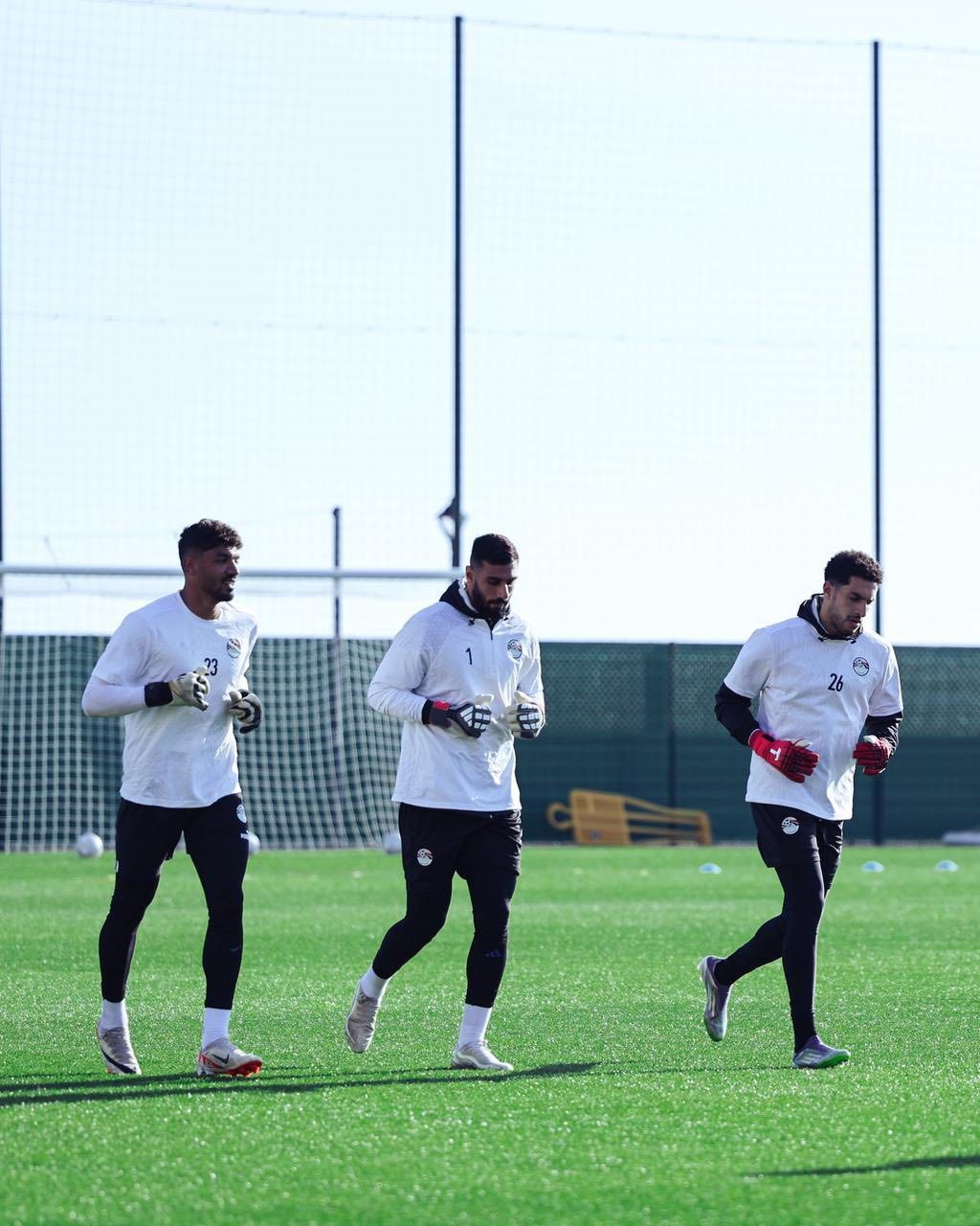 مصطفى شوبير وأحمد الشناوى ومحمد صبحى