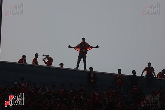 جمهور الأهلى