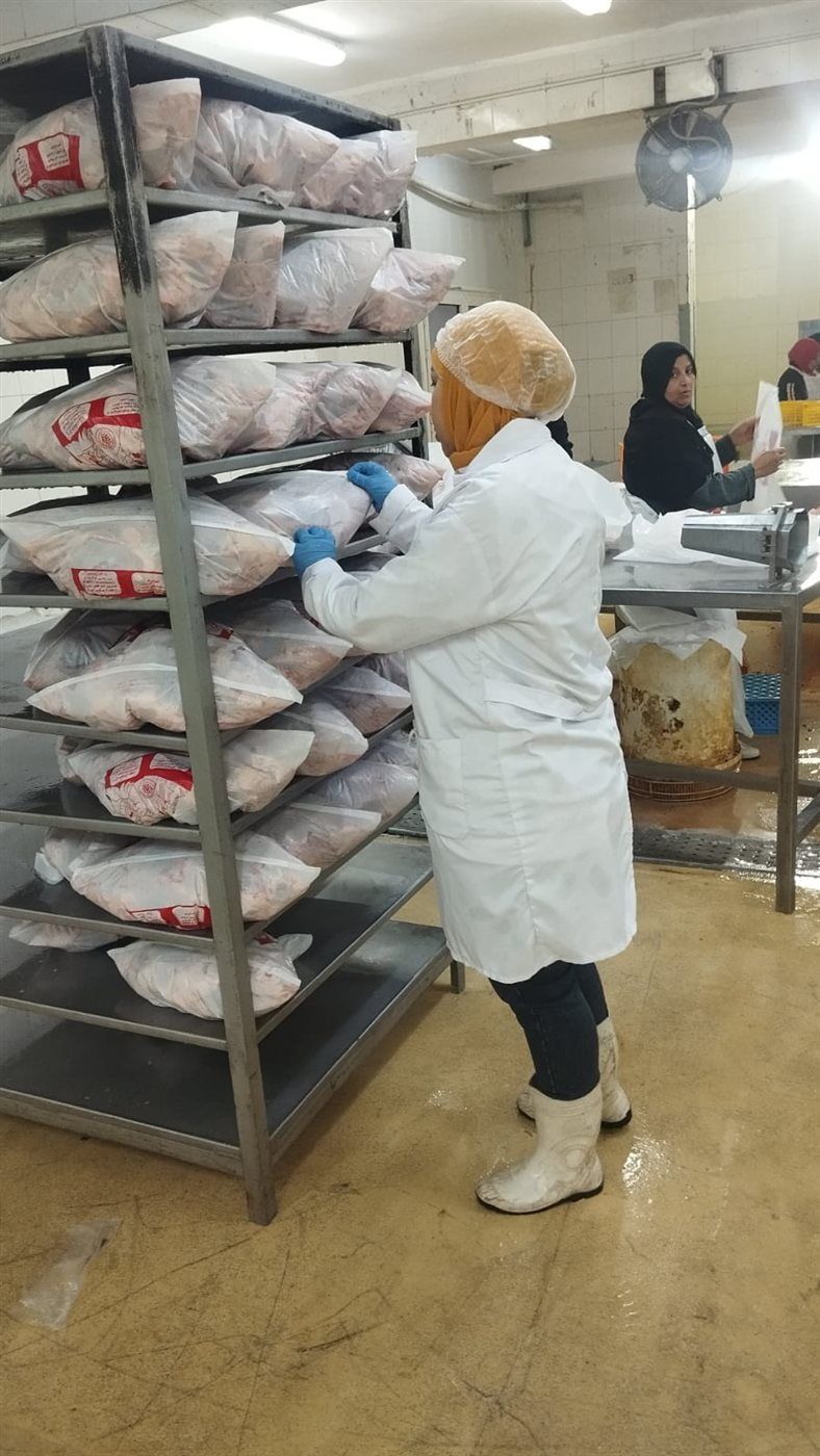 محافظ الجيزة يتابع خطة الإشراف البيطري علي أعمال مجازر الدواجن ويؤكد تشديد الرقابة البيطرية لضمان سلامة الغذاء