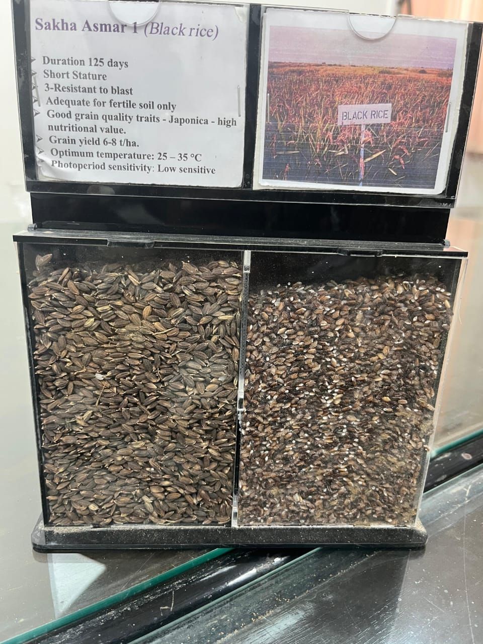 6047ec5214.jpg
