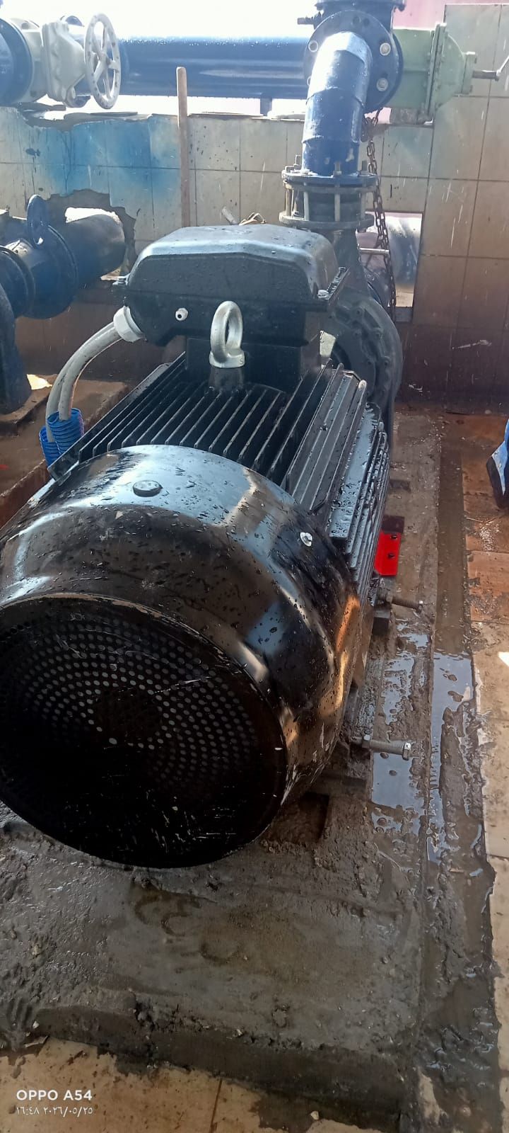 6ca01a9688.jpg