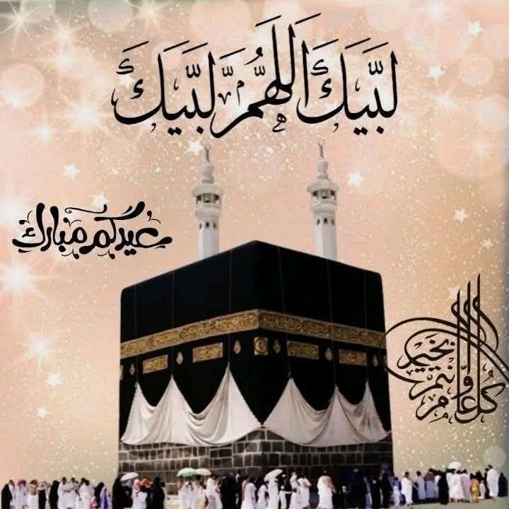 6b3afbe059.jpg