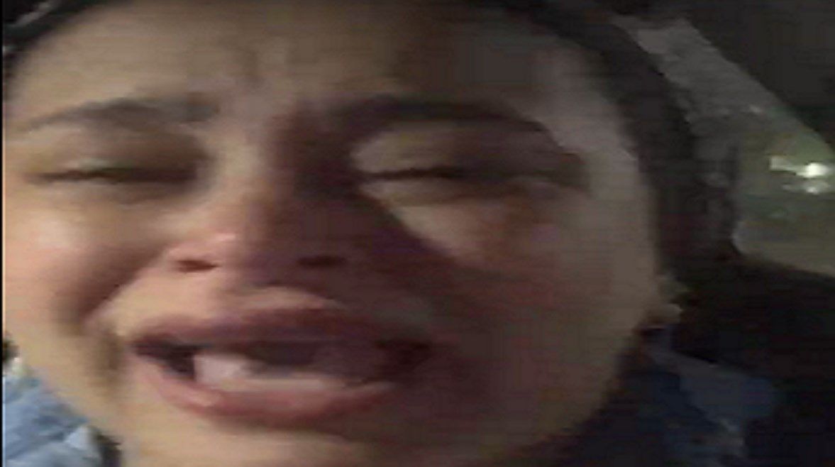 da53374725.jpg