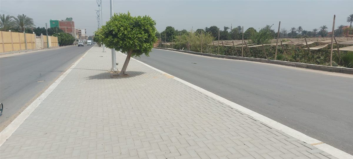 محافظ الجيزة: رصف ورفع كفاءة ٢.٥ كم بطريق ترعة فهمي في منشأة القناطر