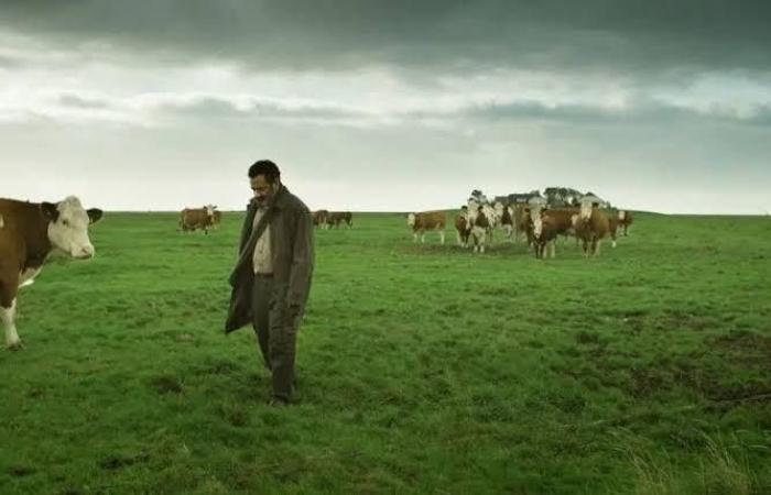 عرض
      فيلم
      يونان
      وTêtes
      Brûlées
      في
      مهرجان
      سيدني
      السينمائي
      الدولي