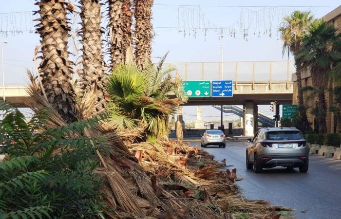 برسم
      بلدية
      انطلياس..
      قبل
      وبعد
      (بالصور)