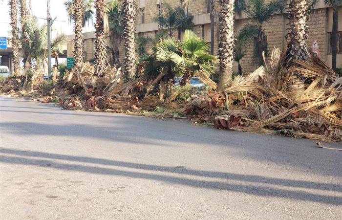 برسم
      بلدية
      انطلياس..
      قبل
      وبعد
      (بالصور)