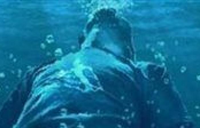 جهود
      مكثفة
      لكشف
      ملابسات
      العثور
      على
      جثة
      شخص
      بكورنيش
      النيل
      في
      أسوان