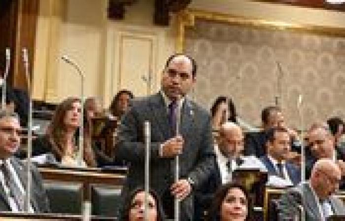 عمرو
درويش
نائب
التنسيقية:
المواطن
لايفرق
معه
الأرقام
في
مشروع
الموازنة
..ونطمئنه«واقفين
على
رجلينا»