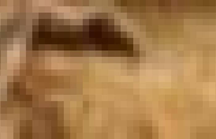 الفلاحون
      ملزمون
      بتسليم
      إنتاجهم
      من
      القمح
      بنوعيه
      والشعير
      إلى
      تعاونيات
      الحبوب
      والبقول
      الجافة