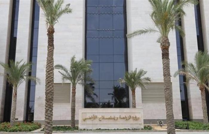 "الزراعة
      "
      تقدم
      نصائح
      فنية
      لمزارعي
      محصول
      الزيتون
      خلال
      يونيه