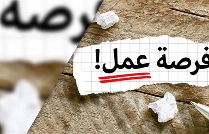 فرص
      عمل
      جديدة
      للشباب
      فى
      الإسماعيلية..
      برواتب
      مجزية
      تصل
      إلى
      12
      ألف
      جنيه