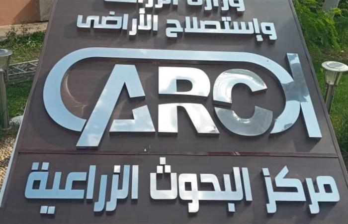 "البحوث
      الزراعية":
      إنشاء
      أول
      مصنع
      للعطور
      هذا
      العام
      بتوجيهات
      من
      الرئيس
      السيسي