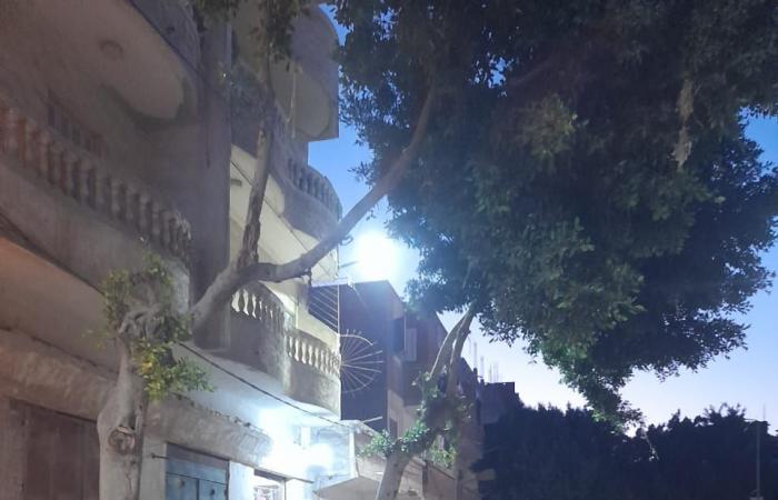 محافظ
      الإسكندرية
      يتابع
      تنفيذ
      خطة
      ترشيد
      استهلاك
      الكهرباء