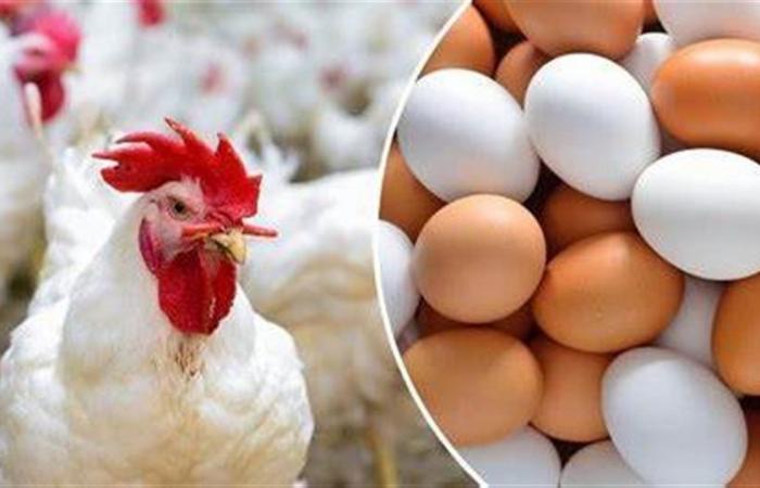 أسعار
      الدواجن
      والبيض
      بكفر
      الشيخ
      الأربعاء
      18
      يونيو
      2025