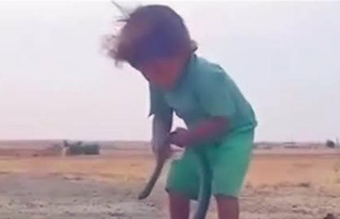 مشهد
      يحبس
      الأنفاس
      لطفل
      يحاول
      الإمساك
      بثعبان
      في
      الصحراء
      (فيديو)