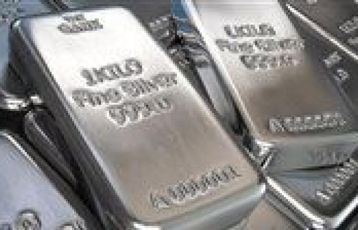 الفضة
      تواصل
      الارتفاع
      محليًا
      وعالميًا..
      وعيار
      800
      يتجاوز
      51
      جنيهًا