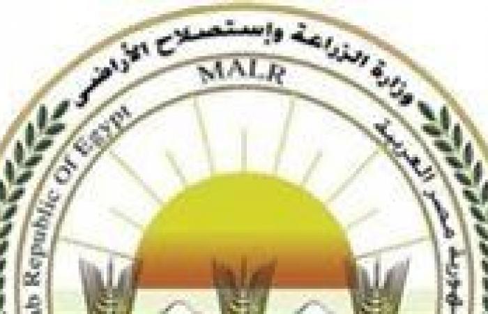 لتصبح
      جنة
      خضراء..
      ما
      هي
      خطة
      الدولة
      للتوسع
      في
      الزراعة
      ومكافحة
      التصحر
      والجفاف
      ؟