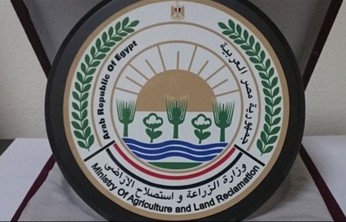 أكثر
      من
      33
      ألف
      عينة
      أغذية
      خضعت
      للفحص
      بمعمل
      متبقيات
      المبيدات
      خلال
      مايو
      الماضي