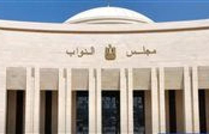 6
      مرشحين
      يخوضون
      انتخابات
      مجلس
      النواب
      لحجز
      مقعد
      واحد
      داخل
      الظاهر
      بالقاهرة