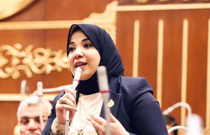 دينا هلالي: التنمية تبدأ من الإنسان.. ونحتاج خطة موحدة لتمكين المرأة والشباب