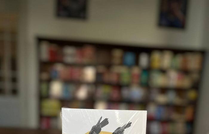 عادل ضرغام في توقيع "الخطاب النقدي المعاصر": كنت مهمومًا بالبحث عن لغة نقدية خاصة