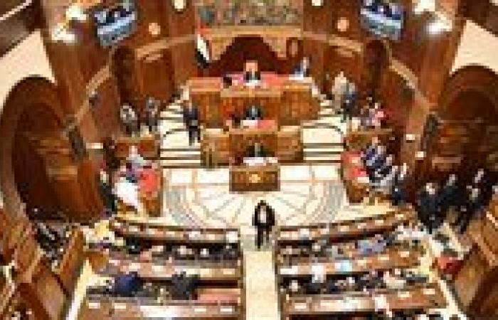 برلماني: مشاركة المصريين في الانتخابات تجديد للعهد مع الوطن ودليل على الوعي الشعبي الراسخ