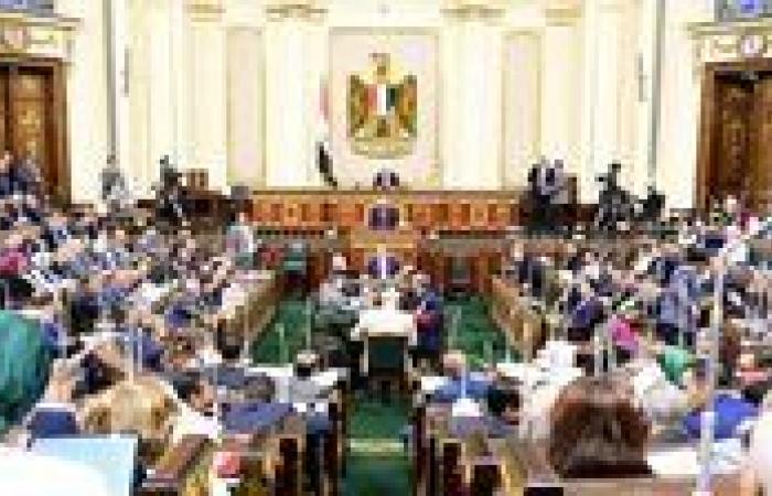 برلماني: معرض الصناعة والنقل 2025.. منصة وطنية لتجسيد نهضة مصر الصناعية والتحول نحو التنمية المستدامة"