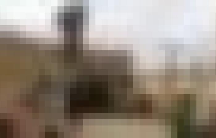 تصاعد أزمة الاختطافات في مالي: اختطاف ثلاثة مصريين حديثًا وفدية إماراتية سابقة لتنظيم متشدد