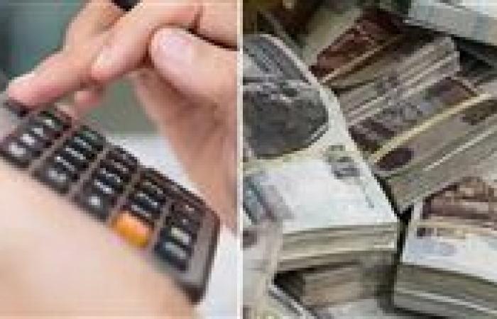 أعلى شهادة ادخار بعد تثبيت الفائدة.. العائد الذى يبحث عنه الجميع