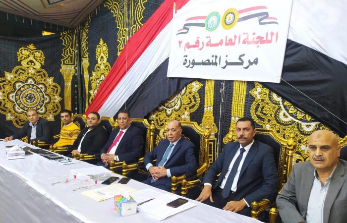 مجلس النواب 2025.. اللجنة العامة الثانية بالدقهلية تبدأ تلقي محاضر فرز الأصوات
