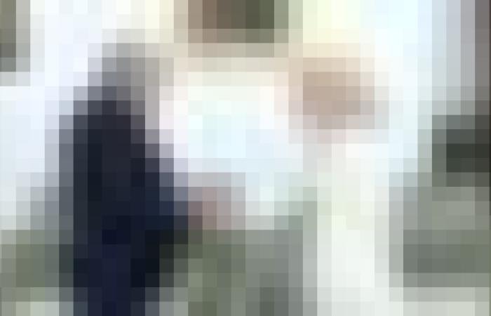 رئيس الجمهورية يستقبل سفيرة جمهورية صربيا