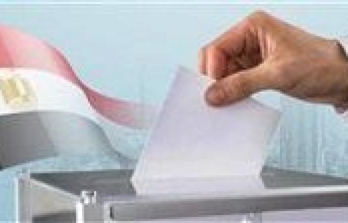 خلال جولة إعادة المرحلة الثانية.. غلق باب التصويت بلجان الاقتراع بسفارات وقنصليات مصر في 11 دولة.. وبدء الفرز