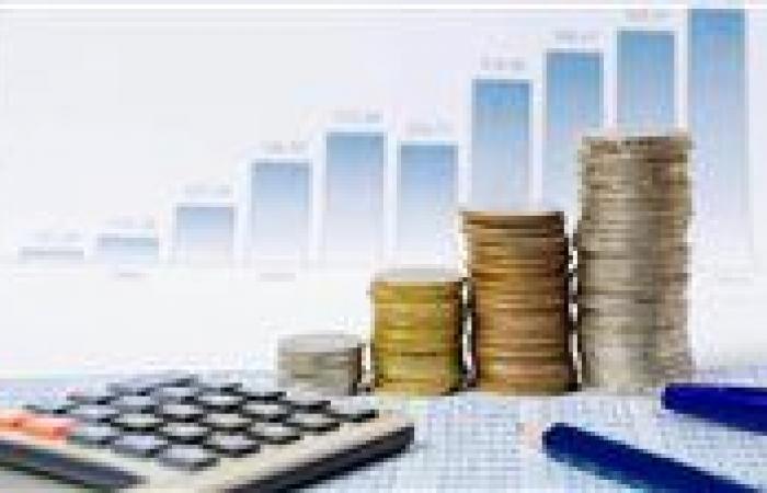 وزير التعاون الدولي الاسبق: بيع الأراضي ليس حلا لأزمة خفض الدين