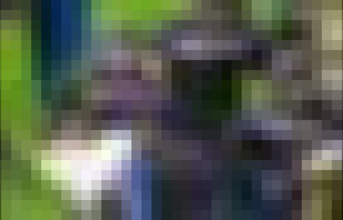 مقتل مواطن سنغالي وتوقيف 17 مناصرًا بعد أحداث نهائي “كان 2025” بالرباط