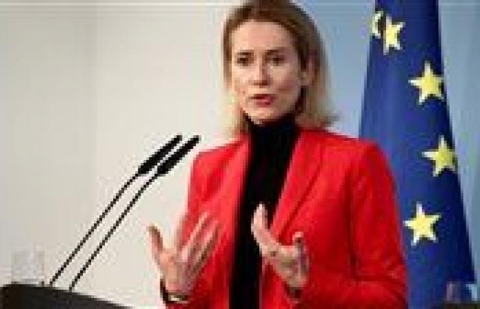 أوروبا تترقب مجلس سلام غزة وتتنفس الصعداء بعد اتفاق إطاري بشأن جرينلاند