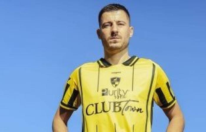 وادي دجلة يجهز الكرواتى دانييل ميشكيتش لمواجهة الأهلي في الدوري