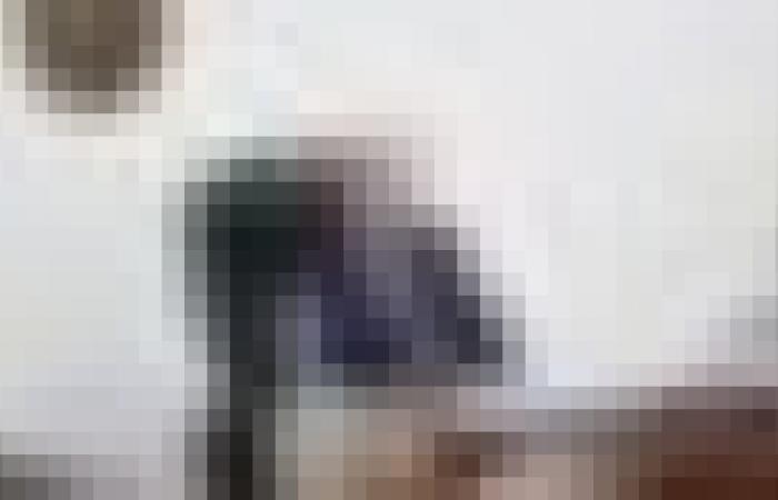 الرئيس تبون يشدد على ضرورة إطلاق منجم الزنك والرصاص بواد أميزور في مارس المقبل