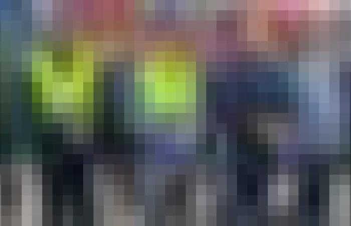 عنابة : إطلاق أول عملية لتحويل الحاويات الفارغة عبر القطار