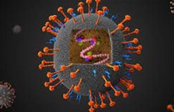 مخاوف من تفشي فيروس نيباه.. كيف تستعد دول جنوب آسيا لمكافحته؟